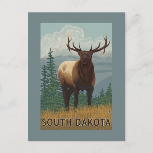 Elk Scene-South Dakota Briefkaart (Voorkant)