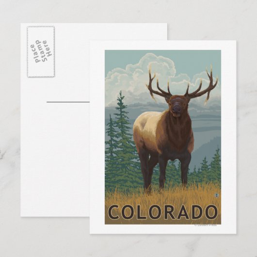 Elk SceneColorado Briefkaart (Voorkant / Achterkant)