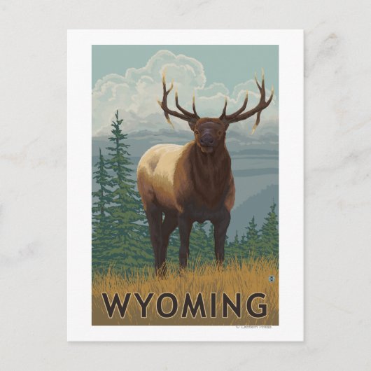 Elk SceneWyoming Briefkaart (Voorkant)