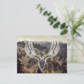 Elk schedel briefkaart (Staand voorkant)