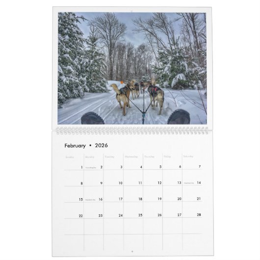 Elk seizoen in Boston Kalender (Feb 2026)