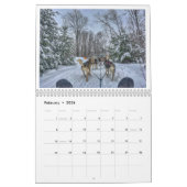 Elk seizoen in Boston Kalender (Feb 2026)