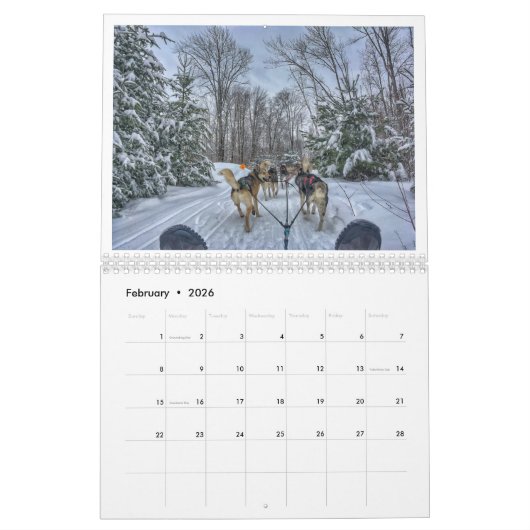 Elk seizoen in Boston Kalender (Feb 2026)