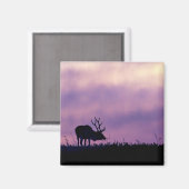 Elk Silhouette bij Sunset Magnet (Voorkant / Achterkant)