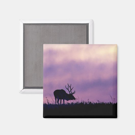 Elk Silhouette bij Sunset Magnet (Voorkant / Achterkant)