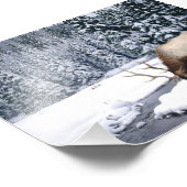 Elk Sneeuw Scene Foto Afdruk (Hoek)
