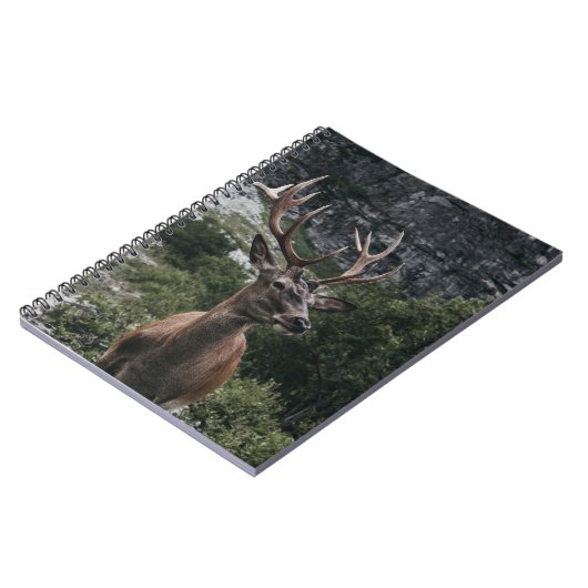 ELK STACK DEER NOTITIEBOEK (Linkerzijde)