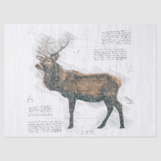 Elk Stag Drawing Tissuepapier (Voorkant)