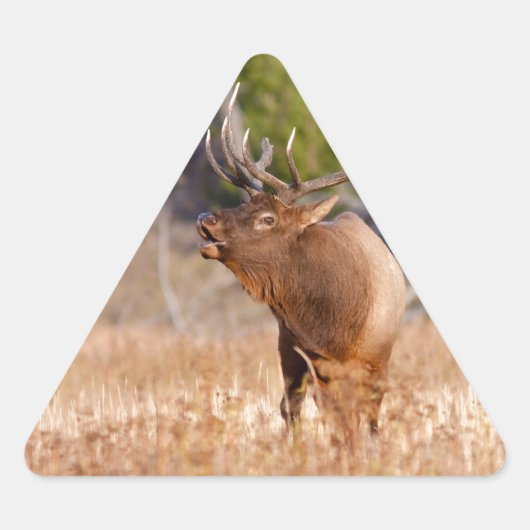 Elk Sticker (Voorkant)