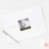 Elk Stickers (Envelop)