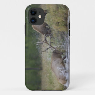 Elk stieren vechten, Yellowstone NP, Wyoming Case-Mate iPhone Case