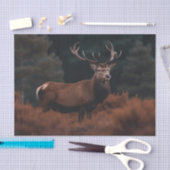 Elk Tissue Paper Tissuepapier (Craft)