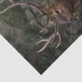 Elk Tissuepapier (Detail)