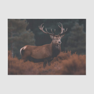 Elk-tissuepapier Tissuepapier