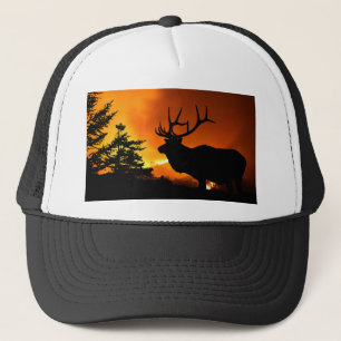 Elk Trucker Pet