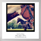 Elk van de punten Poster (Voorkant)