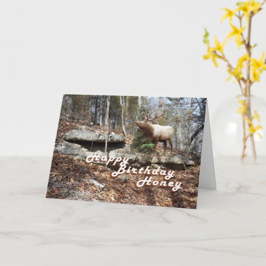 Elk Verjaardagskaart Kaart (Gele Bloem)