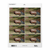 Elk verzendlabel (Full Sheet)