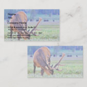 Elk Visitekaartje (Voorkant / Achterkant)