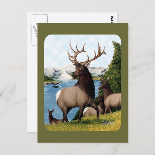 Elk Wapiti Briefkaart (Voorkant / Achterkant)
