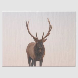 Elk-weefselpapier Tissuepapier