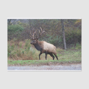 Elk-weefselpapier Tissuepapier