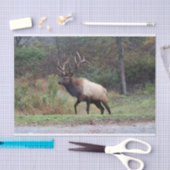 Elk-weefselpapier Tissuepapier (Craft)