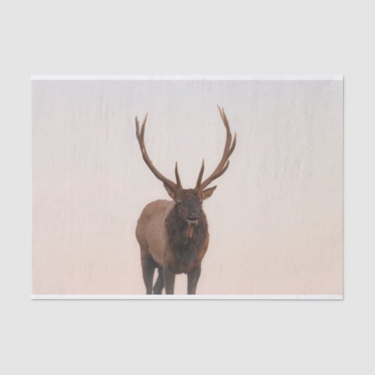 Elk-weefselpapier Tissuepapier (Voorkant)