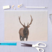 Elk-weefselpapier Tissuepapier (Craft)