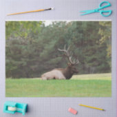 Elk-weefselpapier Tissuepapier (Craft)