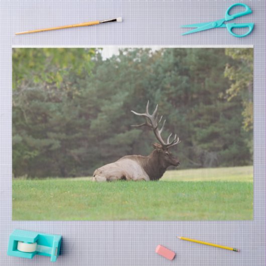 Elk-weefselpapier Tissuepapier (Craft)