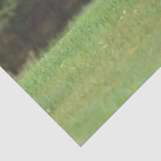 Elk-weefselpapier Tissuepapier (Detail)