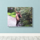 Elk Wrapped Canvas Afdruk (Insitu (Houten vloer))