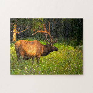 Elk Yellowstone Montana. Legpuzzel
