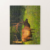 Elk Yellowstone Montana. Legpuzzel (Verticaal)