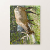 Elk Yellowstone Montana. Legpuzzel (Verticaal)