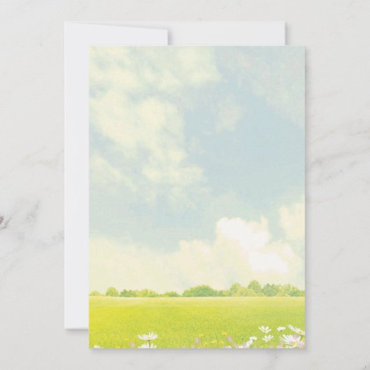 ELKE AGE Party op de Park Kite Verjaardagsuitnodig Kaart (Achterkant)