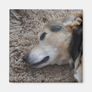 Elke beweging bekijken magneet