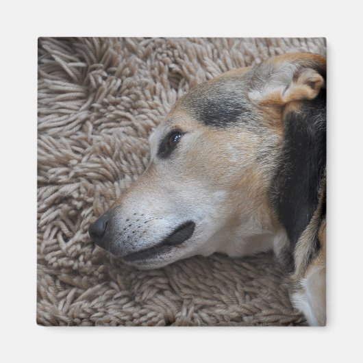 Elke beweging bekijken magneet (Voorkant)