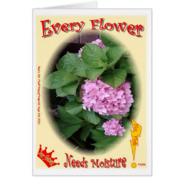 Elke bloem heeft vocht nodig!