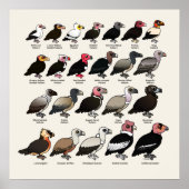 Elke cultuur poster (Voorkant)