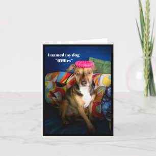 Elke dag 6 mijl lopen humoristisch Wenskaart Kaart