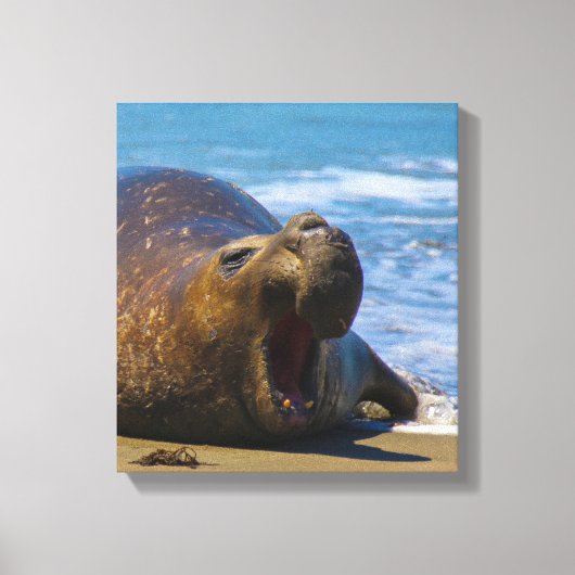 Elke dag canvas afdruk (Voorkant)
