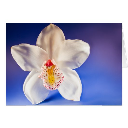 Elke dag een kaart bestellen (Voorkant Horizontaal)