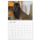 Elke dag is de aangepaste zaterdagkalender kalender (Mar 2027)