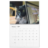 Elke dag is de aangepaste zaterdagkalender kalender (Feb 2027)