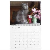 Elke dag is de aangepaste zaterdagkalender kalender (Jan 2027)