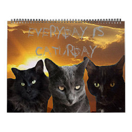 Elke dag is de agenda van de Caturday Kalender