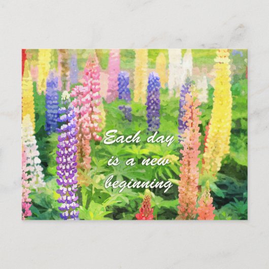 Elke dag is een nieuw begin kleurrijke Lupine bloe Briefkaart (Voorkant)
