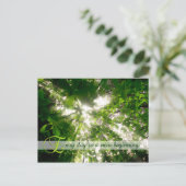 Elke dag is een nieuw, beginnend zonlicht bos briefkaart (Staand voorkant)
